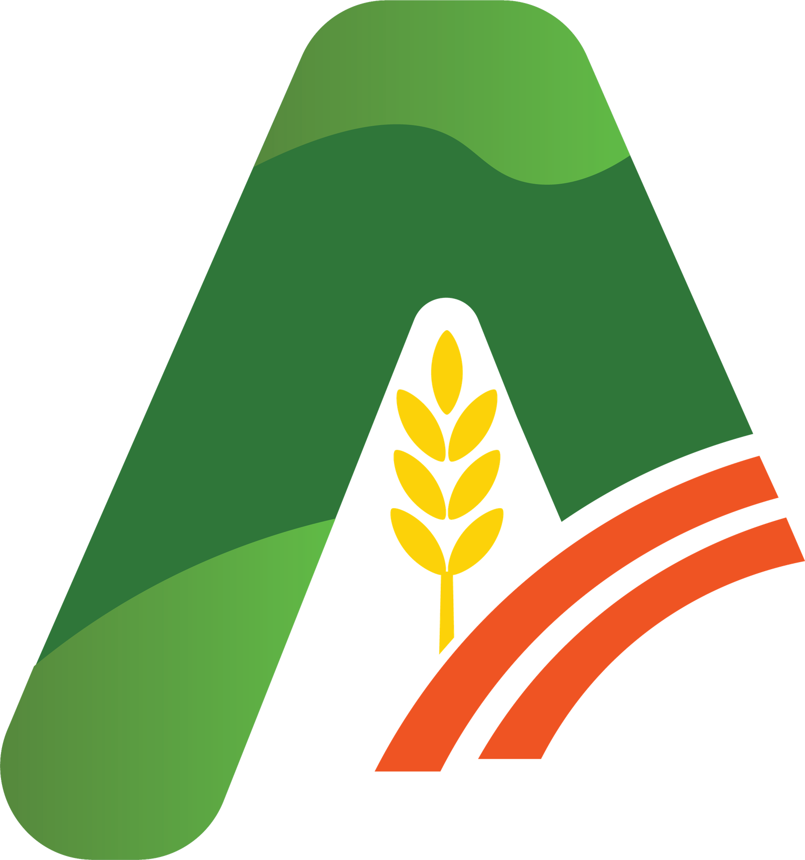 Cover Utama Rice